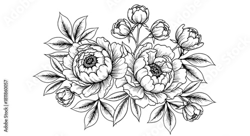 Elegant Peony Flower Arrangement in Detailed Line Art for Delicate Designs: Botanical Illustration of Blooming Peonies and Leaves for Wedding Invitations, Stationery, and Fine Art Prints, Floral Desig
