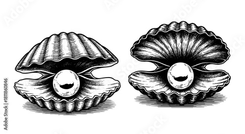 Elegant Engraved Oyster Shells Holding Luminous Pearls: Vintage Marine Treasure, Luxurious Jewelry Component & Mystical Underwater Gemstones for Coastal Decor, Wedding Invitations, and Antique-Inspire
