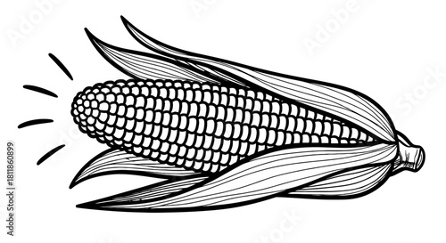 Fresh Sweet Corn Cob Illustration for Healthy Eating Promotion: Agricultural Harvest Still Life, Summer BBQ Graphic Design Element, Farm Produce Marketing, Cooking Recipe Presentation, Modern Organic