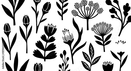 Elegant Botanical Illustration with Decorative Floral Elements on Cream Background, Ideal for Springtime Designs & Creative Projects, Featuring Black Flowers & Leaves Accented with Blue & Coral Hues,