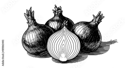 Pile of Fresh Onions Displayed with a Halved Bulb, Ideal for Culinary Art, Food Presentation, Grocery Marketing, and Nutritional Guides – Vintage Hatching Style, Black and White Detailed Engraving, Bo
