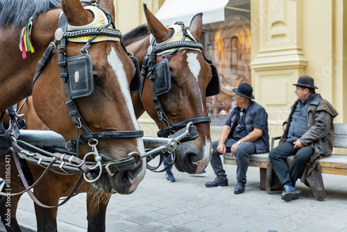 Austria. Vienna. Fiaker - a hired horse-drawn carriage.