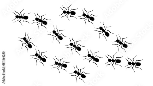 Silhouettes of ants grouped in a dynamic pattern, emphasizing movement and flow, Ant Trail Artwork – Black Silhouette Design
