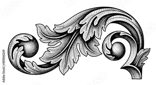 Elaborate Acanthus Scroll Design for Decoration, Invitation and Graphic Elements: Baroque Engraving Ornament with Detailed Lines, Spirals and Victorian Curves for Elegant Invitations and Architectural
