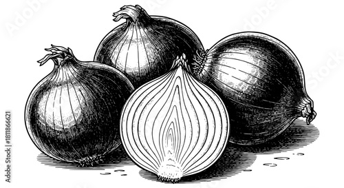 Group of Onions Being Prepared in a Culinary Setting for Cooking and Meal Preparation, Representing Healthy Eating and Fresh Produce for Recipes, Engraved Illustration for Presentations and Menus (Vin