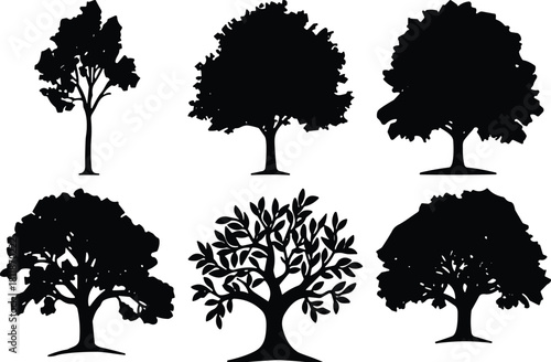 Silhouette collection of different tree shapes, natural forest elements, black botanical design, cad drawing flat vector illustration, eco nature art