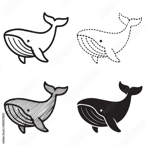 Four whale illustrations: outline, dotted, shaded, and solid black.