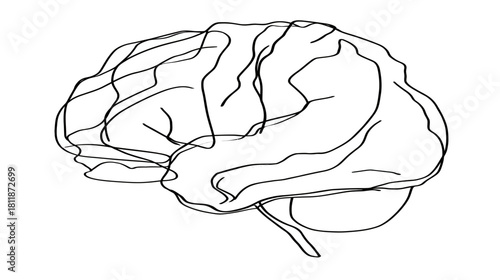 Detailed human brain line art illustration representing intelligence, thought, memory, and neurological science concepts on white background.