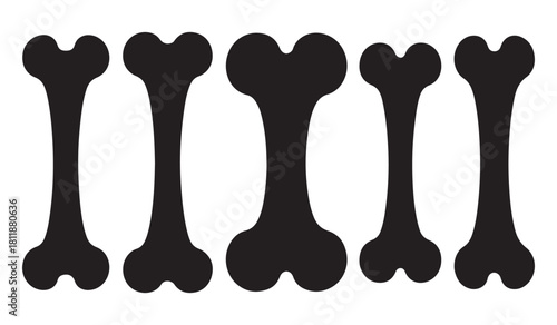  Five black bone silhouettes arranged in a row against a white background silhouette