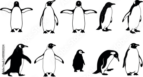 Collection of hand drawn penguin illustrations in various poses and styles