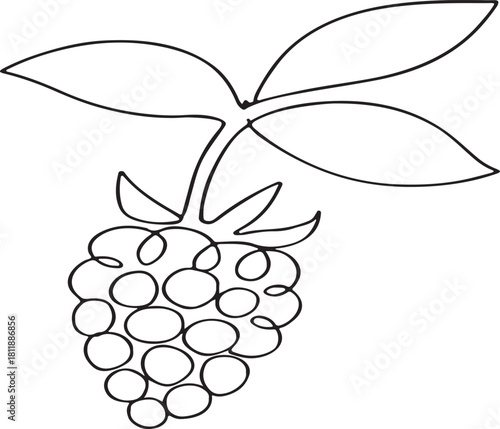 Blackberry Fruit Outline Vector Icon Illustration on a White Background Suitable for Design Projects Websites and Mobile Applications Simple and Clean