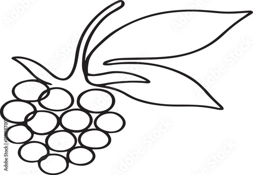 Blackberry Fruit Outline Vector Icon Illustration on a White Background Suitable for Design Projects Websites and Mobile Applications Simple and Clean