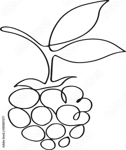 Blackberry Fruit Outline Vector Icon Illustration on a White Background Suitable for Design Projects Websites and Mobile Applications Simple and Clean