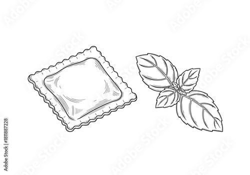 Black and white drawing of a ravioli next to basil leaves