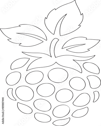 Blackberry Fruit Outline Vector Icon Illustration on a White Background Suitable for Design Projects Websites and Mobile Applications Simple and Clean