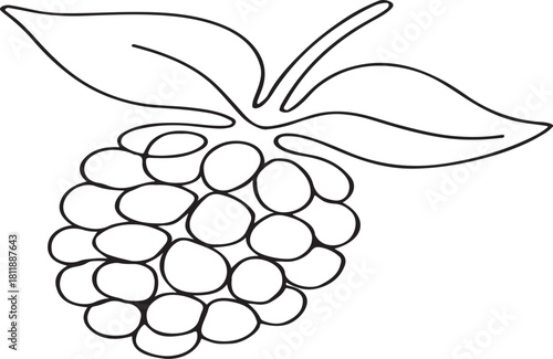 Blackberry Fruit Outline Vector Icon Illustration on a White Background Suitable for Design Projects Websites and Mobile Applications Simple and Clean