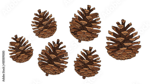 Seven scattered pinecone illustrations, ideal for autumn, winter, and nature designs, providing rustic woodland decoration