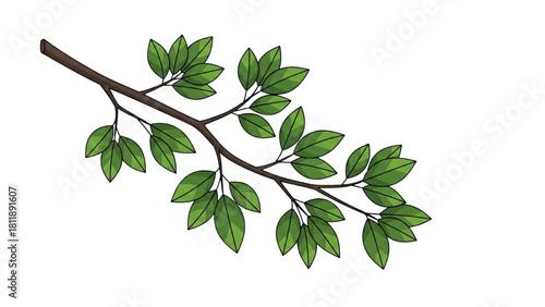 Vibrant Green Tree Branch with Fresh Leaves - A Symbol of Nature's Growth and Renewal in Spring