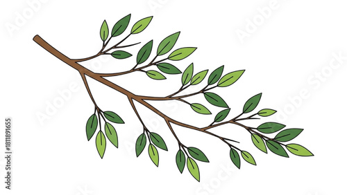 Branch with Green Leaves Illustration A Nature-Inspired Graphic Element