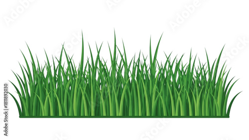 Illustration of a patch of lush green grass isolated on a white background for design