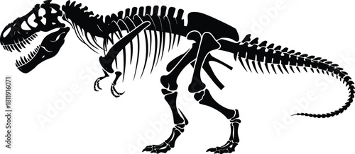 Detailed black and white illustration of a Tyrannosaurus rex skeleton showcasing prehistoric anatomy, fossil structure, dinosaur bones, paleontology science, and ancient history