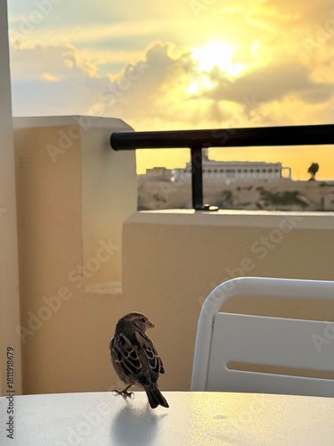 woman looking out window