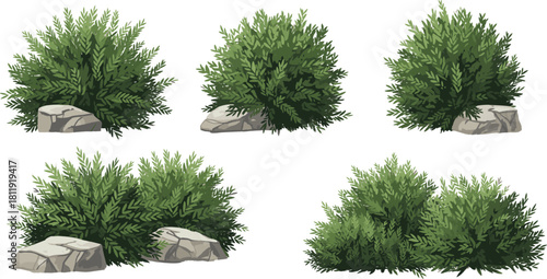 Set of Green Bushes and Stones Vector Illustrations Isolated on White Background for Garden Design.