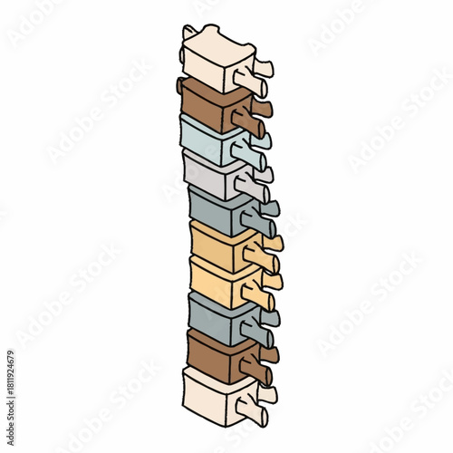 Human Spine Vertebrae Stacked Illustration for Medical and Health Concepts.