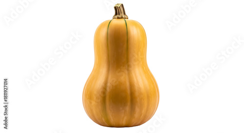 Butternut squash isolated on transparent background, a winter squash with a sweet, nutty taste, and a versatile ingredient for culinary creations