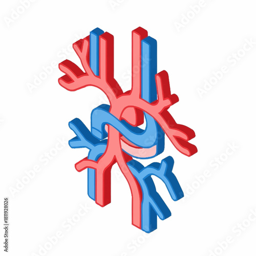 Isometric illustration of human circulatory system with arteries and veins.