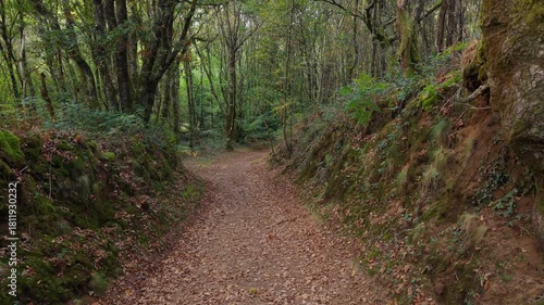 Creepy Routes In The Mountain Hikes Near Vilasantar, A Coruña, Spain. Aerial Pullback Shot