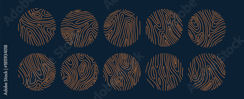 Set of decorative rounded wood cuts with wavy rings. Cross sections of tree trunk. Organic ripple circles. Hardwood stump. Vector linear illustration