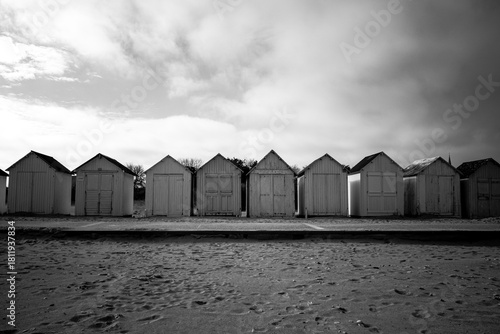 beach houses in black and white