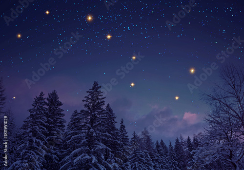 Night stars sky in a winter forest landscape.