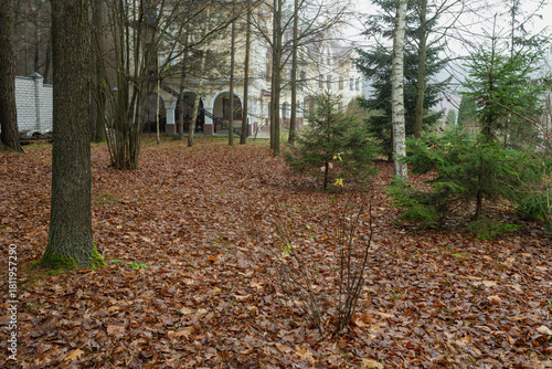 An autumn forest path leading to a historic estate