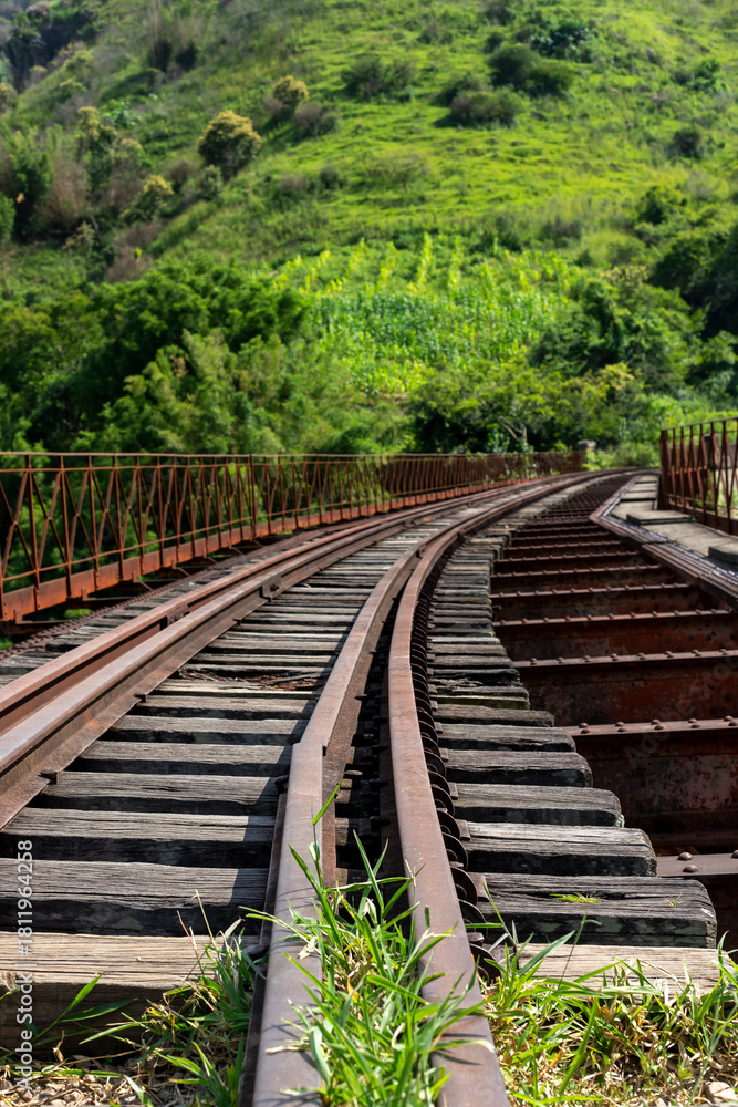 Obraz premium railway in the forest