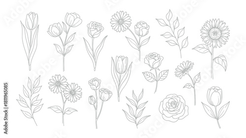 Botanical Whispers: A collection of meticulously drawn flower illustrations, each line a testament to nature's elegant forms and intricate designs.