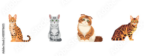 Four illustrated cats: savannah, gray tabby, scottish fold, bengal