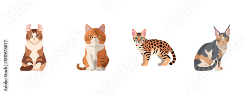 Four distinct cat breeds illustrated in colorful styles on white background