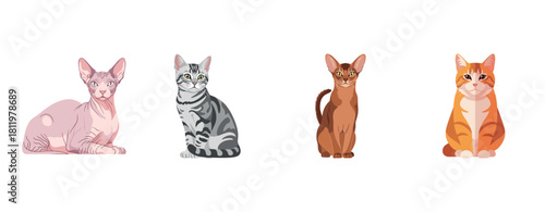 Diverse cartoon cats: sphynx, tabby, abyssinian, and ginger on white background