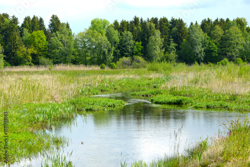 Moosach, Renaturierung, ökologische Ausgleichsmaßnahme , Wasserbiotop, Uferbiotop