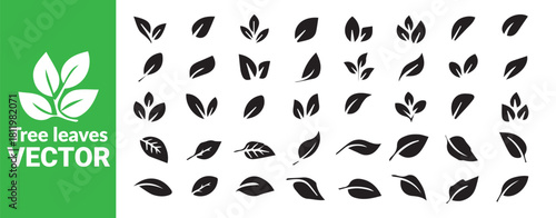 Set of black leaf icon, isolated leaves on white background, tree leaves vector collection