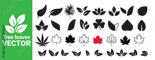 Set of black tree leaves vector collection including cannabis and maple leaf designs