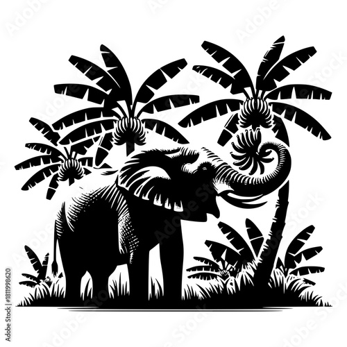 Elephant eating banana from the plantation vector image illustration