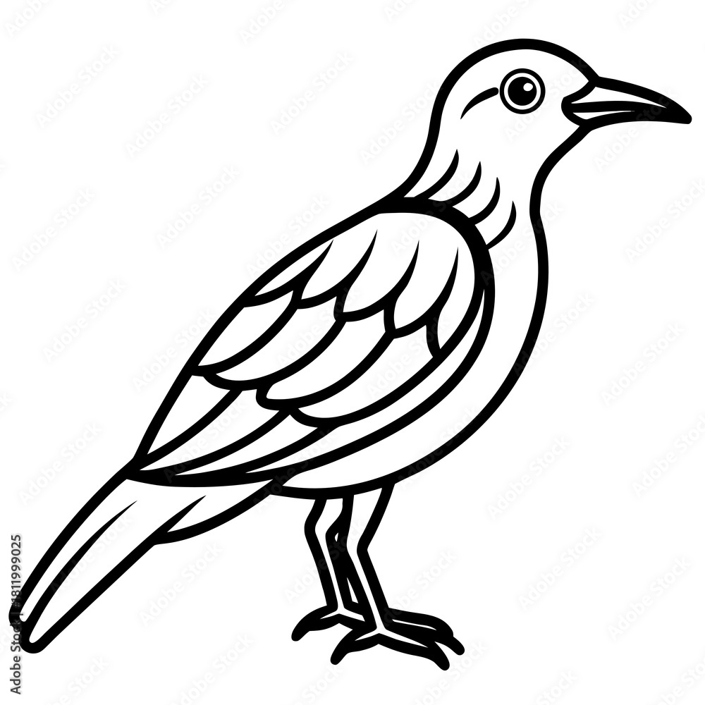 Fototapeta premium dove of peace