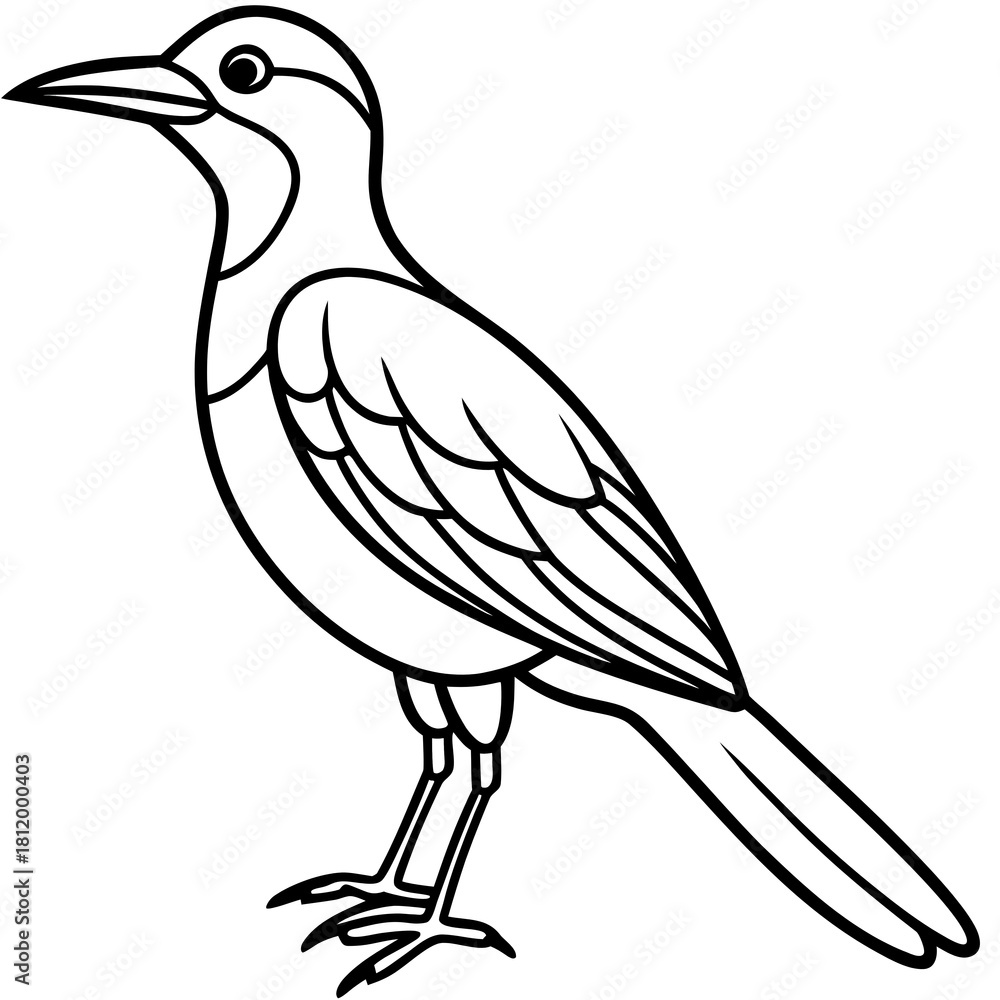 Fototapeta premium vector illustration of a bird