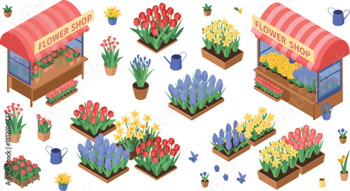 Colorful isometric flower shop market scene with blooming tulips, daffodils, hyacinths, potted plants, outdoor garden display, spring floral illustration