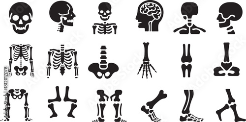 Bones, Joints, and Spine Solid Icon Collection