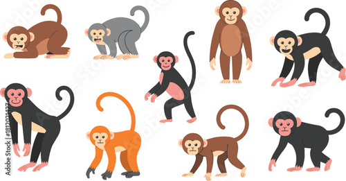 Cute cartoon monkey collection illustration showing different poses and colors, playful animal characters design for kids education, zoo, and wildlife concept