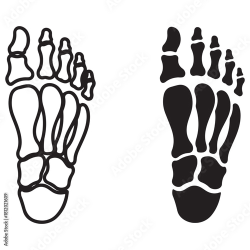 Anatomical Human Foot Skeleton Outline and Silhouette Graphic